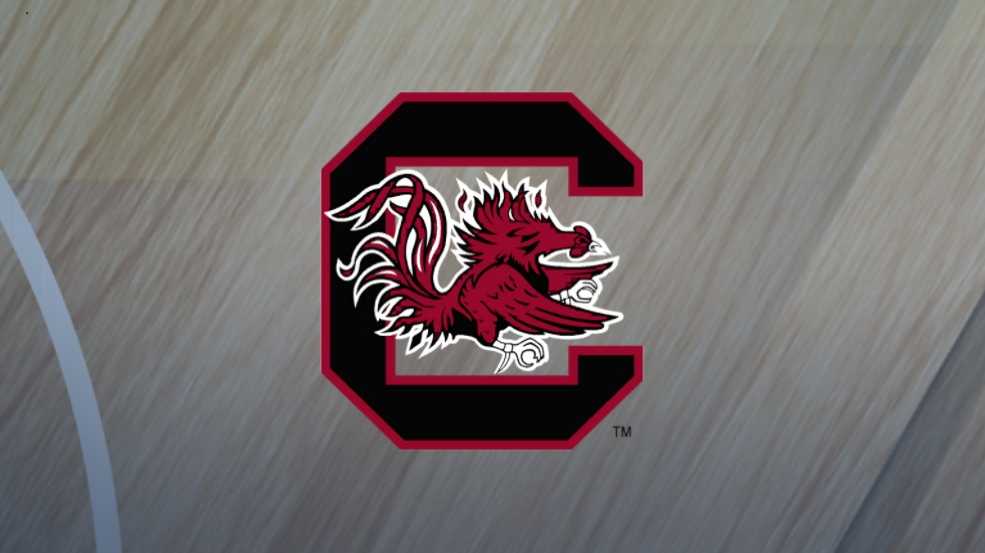 Read more about the article BREAKING: South Carolina vs Texas Longhorns Latest Injury Update.